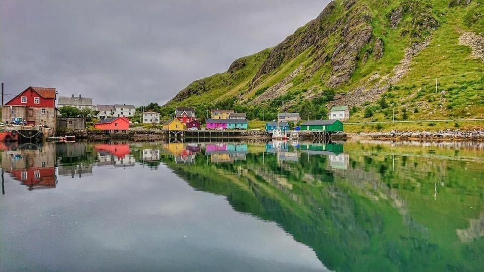 Kraemmervika Rorbuer - The Blue Pearl #3 Daire Ballstad Dış mekan fotoğraf